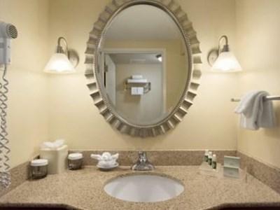 Homewood By Hilton Dulles-north Loudoun 3* Ashburn